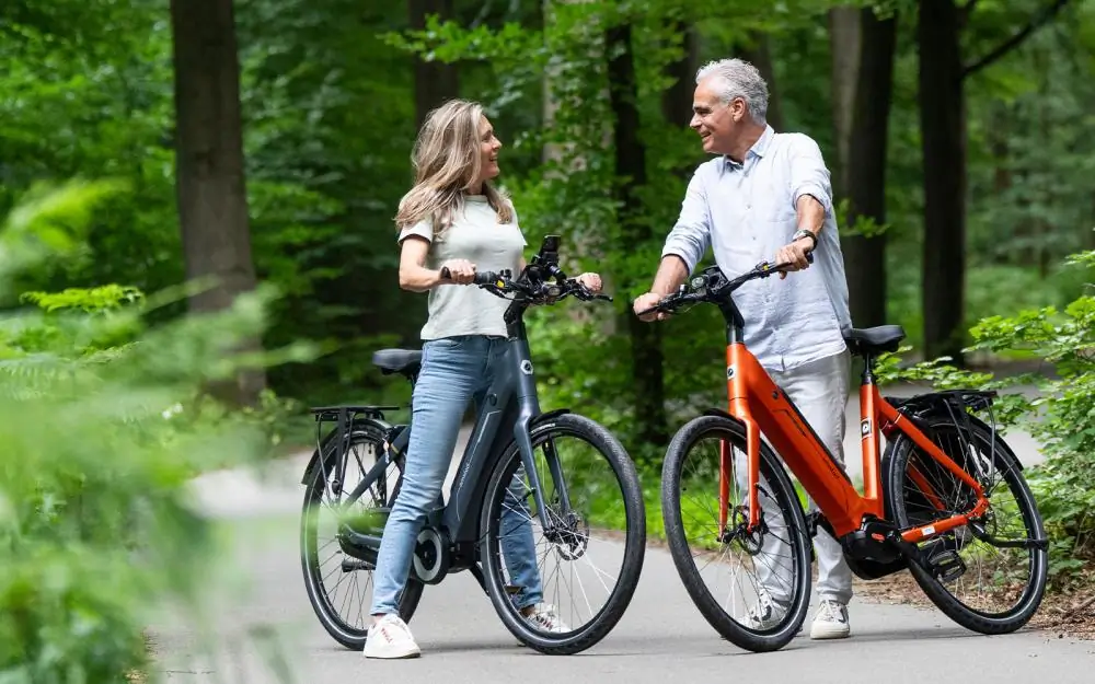 E-bike voor dagelijks gebruik